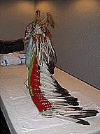 Piegan split horn bonnet