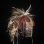 Blackfeet Dogs bonnet 3009.21.01 (photo 2) ☩ «4 Colors»™